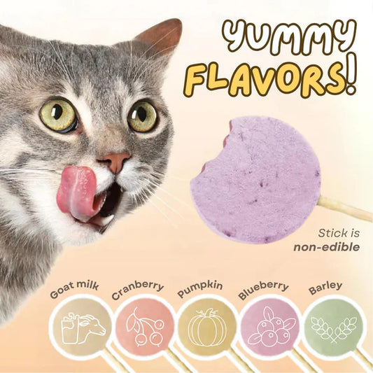 Ranova Lollipop Freeze-Dried Cat Treat – Mixed Flavor Healthy Pet Snack