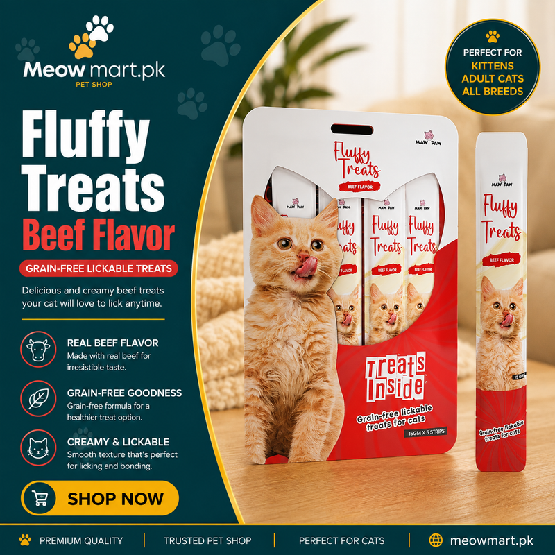Fluffy Treats Beef Flavor Lickable Cat Treats – 75g