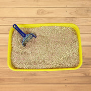 Billion Non-Clumping Cat Litter 5L – Active Odour Control & Fast Absorbing Formula